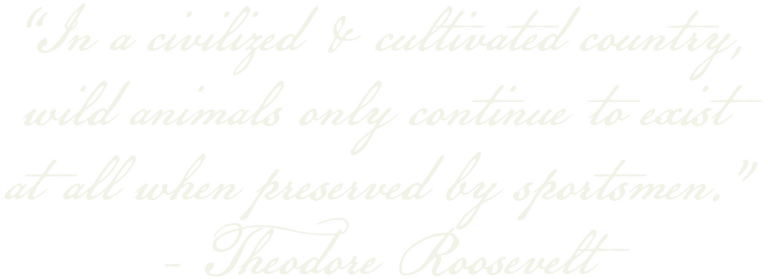 Theodore Roosevelt quote